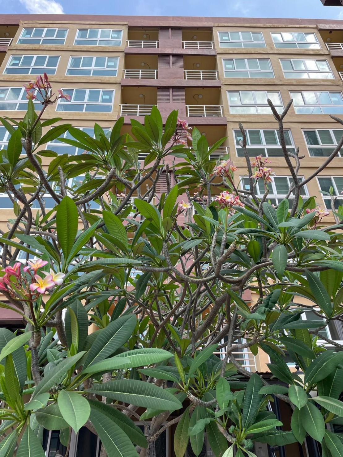 H2Do Hotel Ban Khlong Sanam Phli Exterior foto